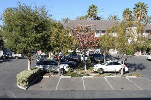 Alamo Inn and Suites - Convention Center - image 10