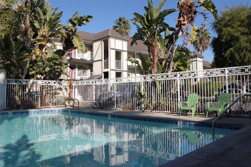 Alamo Inn and Suites - Convention Center - image 11