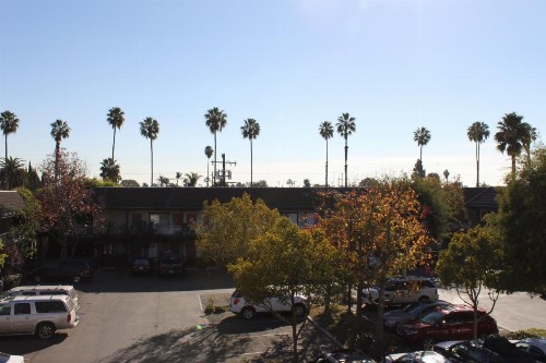 Alamo Inn and Suites - Convention Center - image 15