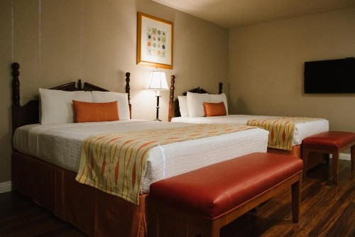 Alamo Inn and Suites - Convention Center - image 18