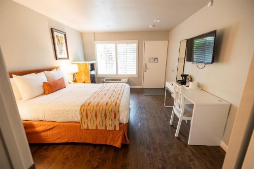 Alamo Inn and Suites - Convention Center - image 25