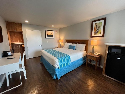 Alamo Inn and Suites - Convention Center - image 27