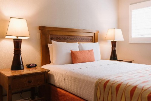 Alamo Inn and Suites - Convention Center - image 29
