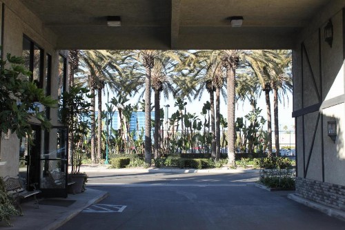 Alamo Inn and Suites - Convention Center - image 3