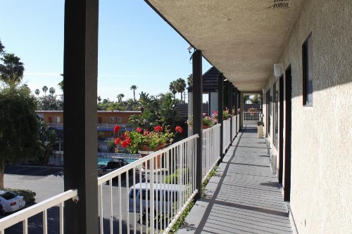 Alamo Inn and Suites - Convention Center - image 30
