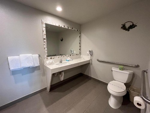 Alamo Inn and Suites - Convention Center - image 38