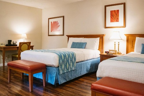 Alamo Inn and Suites - Convention Center - image 40