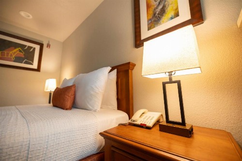 Alamo Inn and Suites - Convention Center - image 44