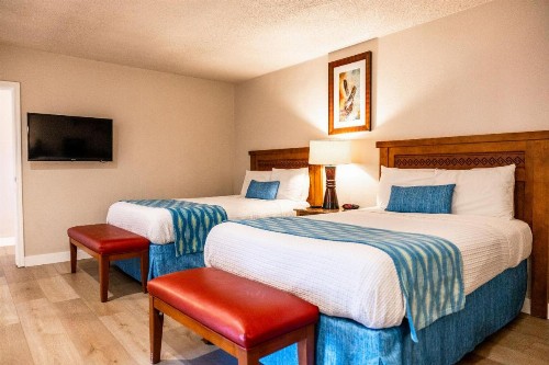 Alamo Inn and Suites - Convention Center - image 46