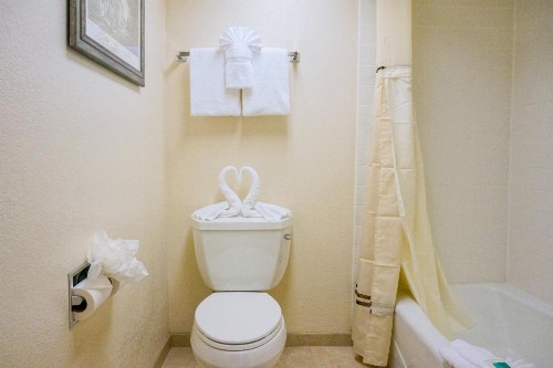 Castle Inn and Suites Anaheim - image 10