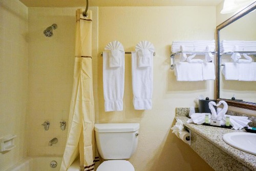 Castle Inn and Suites Anaheim - image 12