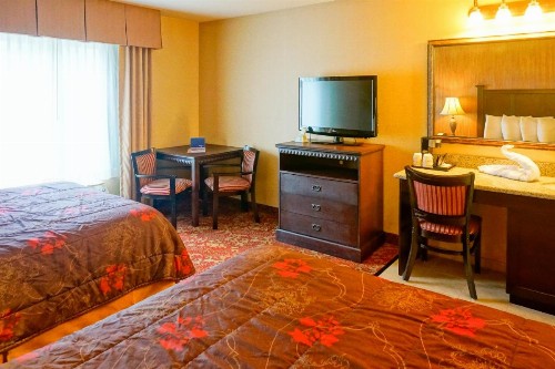 Castle Inn and Suites Anaheim - image 17