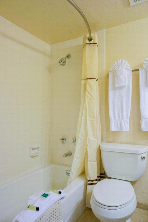 Castle Inn and Suites Anaheim - image 21