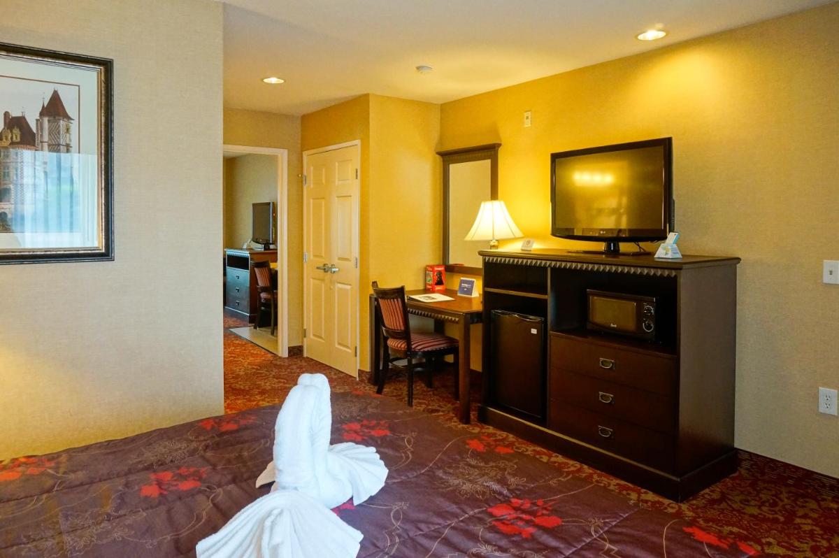 Castle Inn and Suites Anaheim - image 3