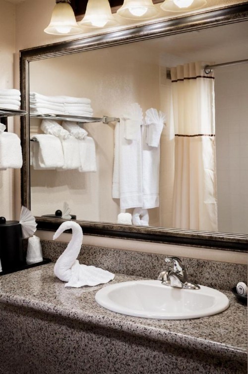 Castle Inn and Suites Anaheim - image 31