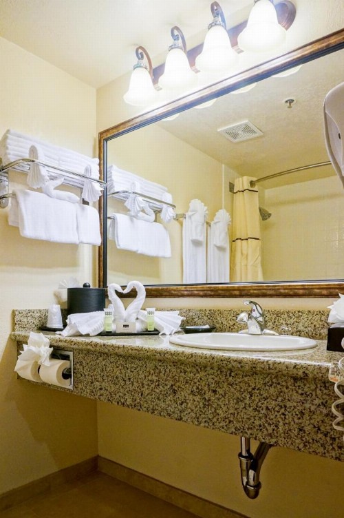 Castle Inn and Suites Anaheim - image 32