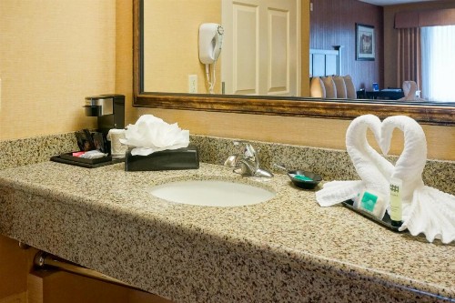 Castle Inn and Suites Anaheim - image 34