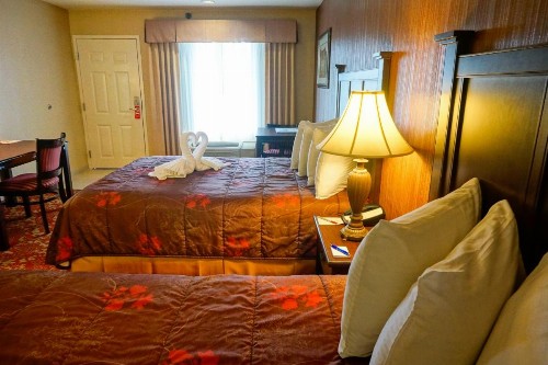 Castle Inn and Suites Anaheim - image 40