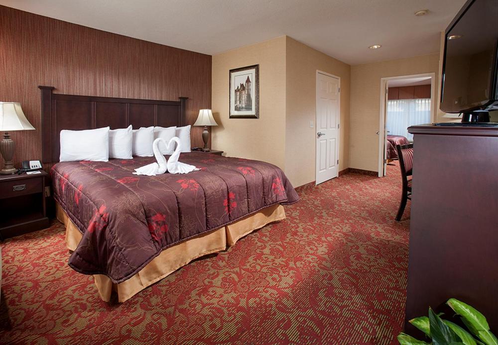 Castle Inn and Suites Anaheim - image 5
