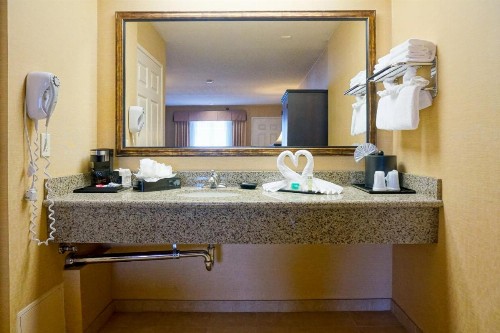 Castle Inn and Suites Anaheim - image 9
