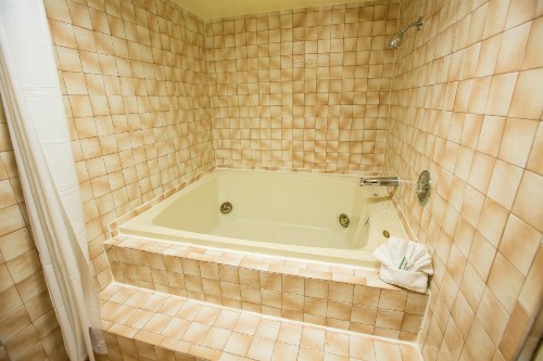 Anaheim Carriage Inn - image 11
