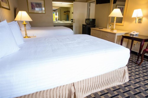 Anaheim Carriage Inn - image 16