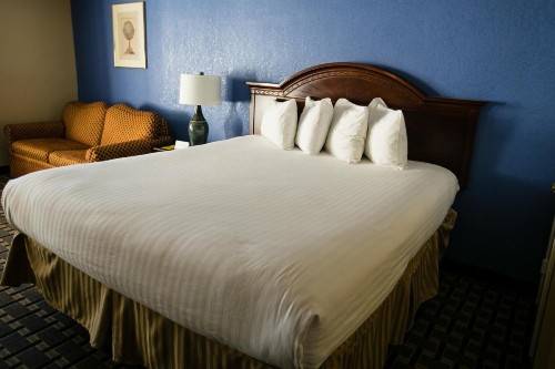 Anaheim Carriage Inn - image 21