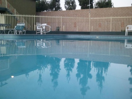 Little Boy Blue Motel - image 19