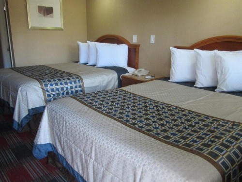 Little Boy Blue Motel - image 6