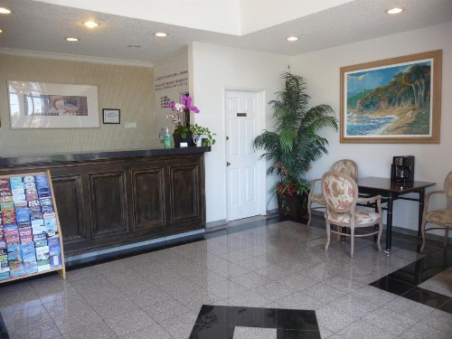 Rainbow Inn - image 5