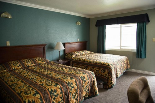 Sahara Motel - image 19