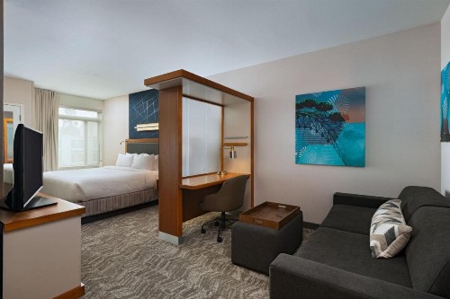 Springhill Suites by Marriott Anaheim Maingate - image 49