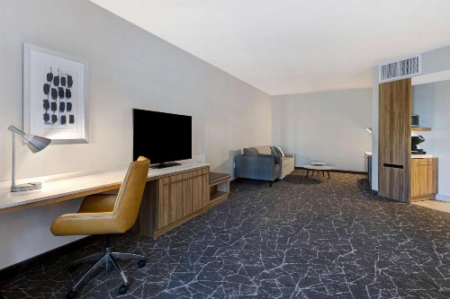 Hilton Garden Inn Anaheim Resort - image 25