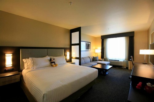 Holiday Inn Express & Suites Anaheim Resort Area an IHG Hotel - image 47