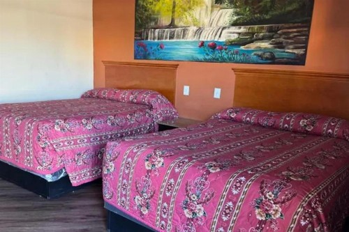Robinhood Motel - image 14