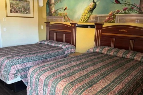 Robinhood Motel - image 15