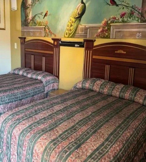 Robinhood Motel - image 20