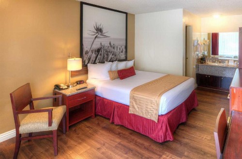 Kings Inn Anaheim at The Park & Convention Center - image 2