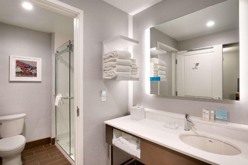 Hampton Inn & Suites Anaheim Resort Convention Center - image 41