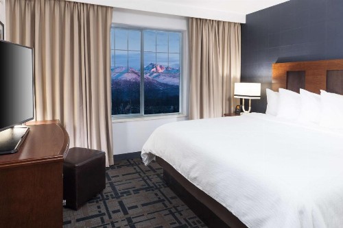 Embassy Suites Anchorage - image 24