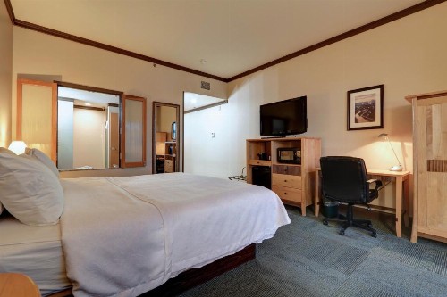 Dimond Center Hotel - image 6