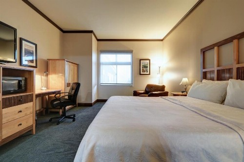 Dimond Center Hotel - image 9