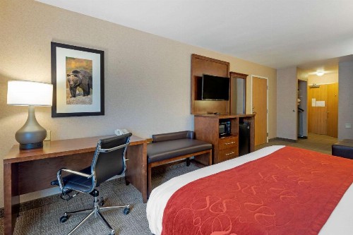 Comfort Suites Anchorage International Airport - image 11