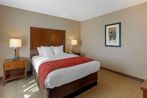 Comfort Suites Anchorage International Airport - image 26