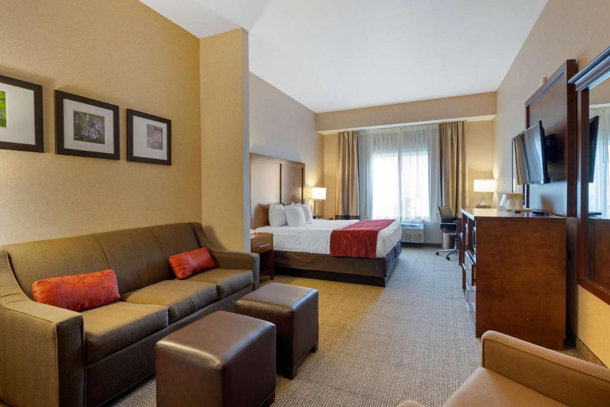 Comfort Suites Anchorage International Airport - image 5