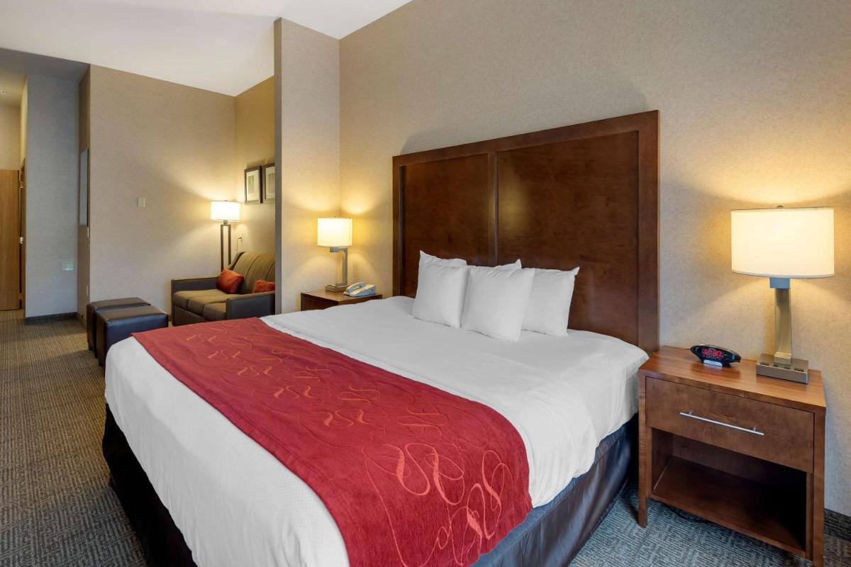 Comfort Suites Anchorage International Airport - image 7