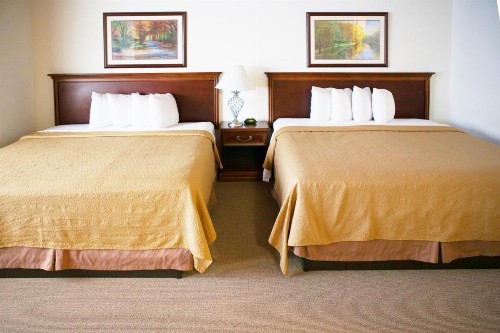 Alex Hotel and Suites - image 22