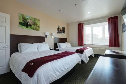 Puffin Inn - image 1