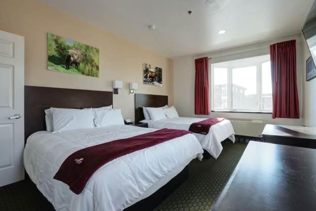 Puffin Inn - main image