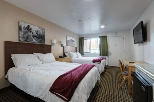 Puffin Inn - image 14